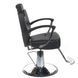 Парикмахерское кресло HEKTOR BH-3208 Black BH-3208/127 фото 3
